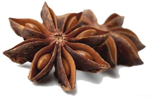 Star Anise Seeds