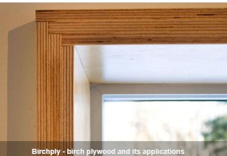 Birch Plywood