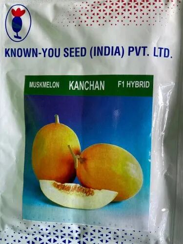 Muskmelon Seed, Variety : Kanchan