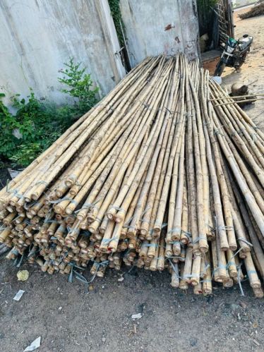 Green 18 Feet Bamboo