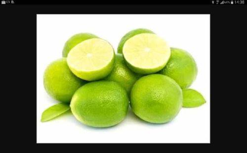 Fresh Lime