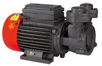 1.0 HP-MP Monoblock Pump