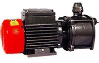 1.0 HP-SW Monoblock Pump