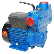 Stout Monoblock Pump