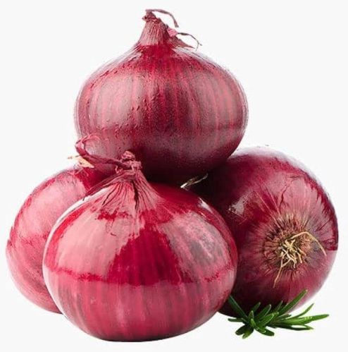 Organic Fresh Red Onion, Packaging Type : Plastic Packet