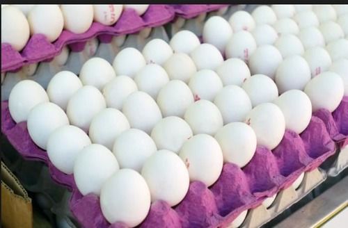 White Shell Eggs, Packaging Type : Tray