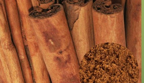 High Quality Cinchona Bark /Extract