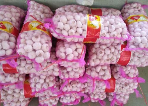 Fresh garlic, Number Of Flower : Vegetable