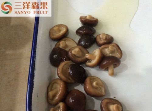 Canned mushroom