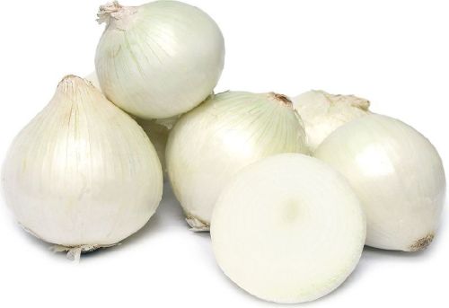 Round Organic Fresh White Onion, For Cooking, Fast Food, Snacks, Size : Large, Medium, Small