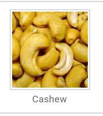 Cashew Nuts