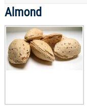 Shelled almonds