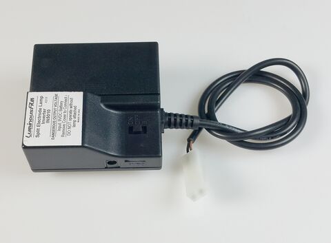 Electroluminescent Inverters