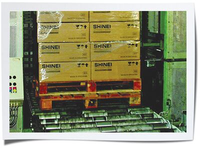 Pallet Continuous Vertical Conveyor