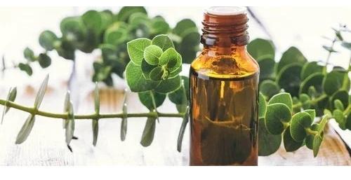 Eucalyptus Oil, For Antiseptic Deodorant