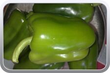 Fresh Green Capsicum