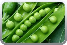 Fresh Green Peas