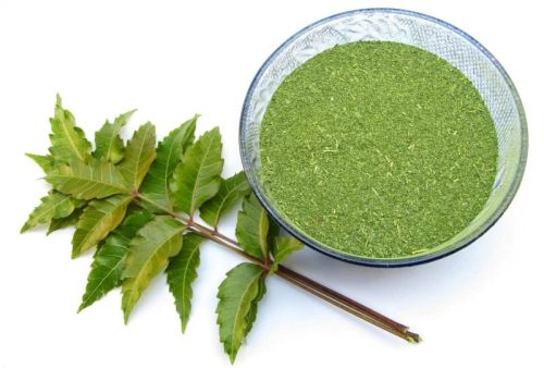 Green Neem Leaf Powder, For Herbal Medicines