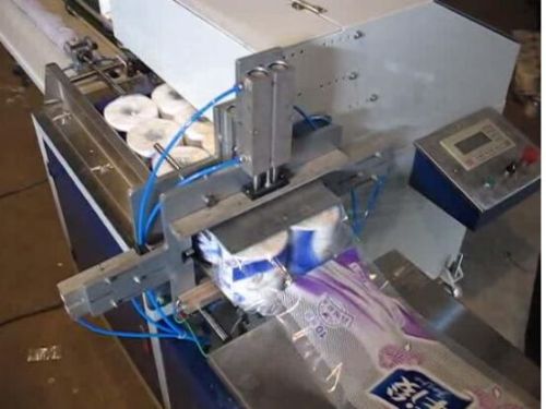 Double Conveying Toilet Paper Packing Machine, Power : 0.8Kw