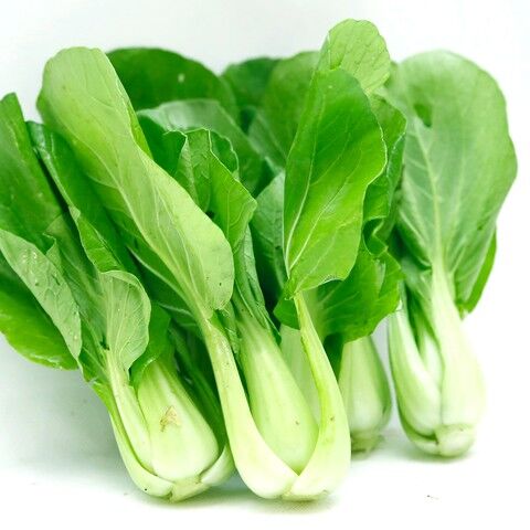 Organic Spoons, Packaging Type : green blue