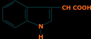 Indole-3-Acetic Acid