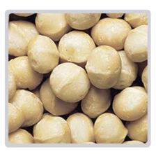 Macadamia nuts