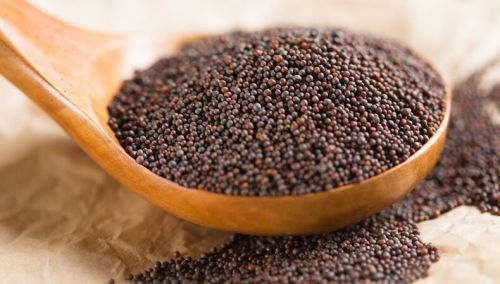 Mustard seeds, Moisture : 12%