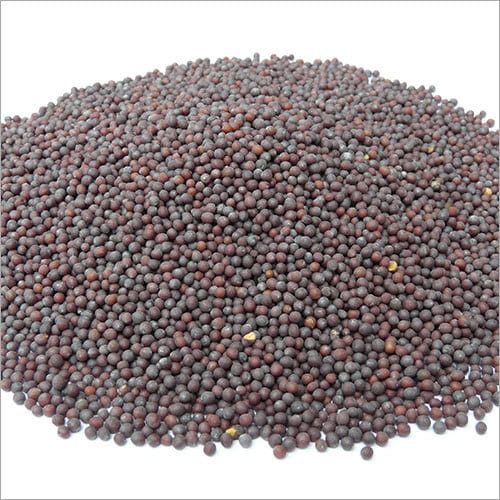 Whole Common Black Mustard Seeds, For Cooking, Shelf Life : 6 Month