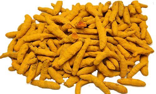 Turmeric Fingers