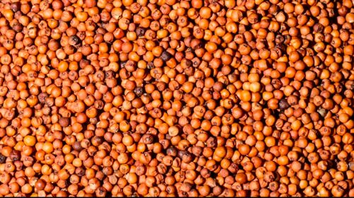 Ragi, Packaging Size : 25 Kg