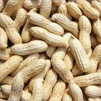 Shelled Groundnuts