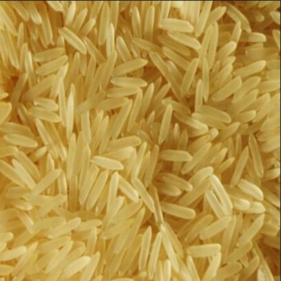 Basmati Rice, Color : Golden, White