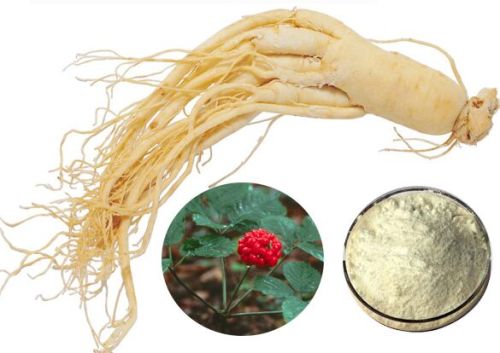 Panax Ginseng Extract, Brand Name : HUIR/Huir