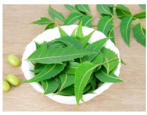 Dry Neem Leaves