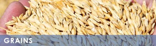 Grains