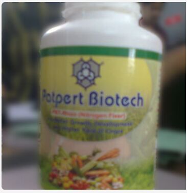 Rhizobium Biofertilizer