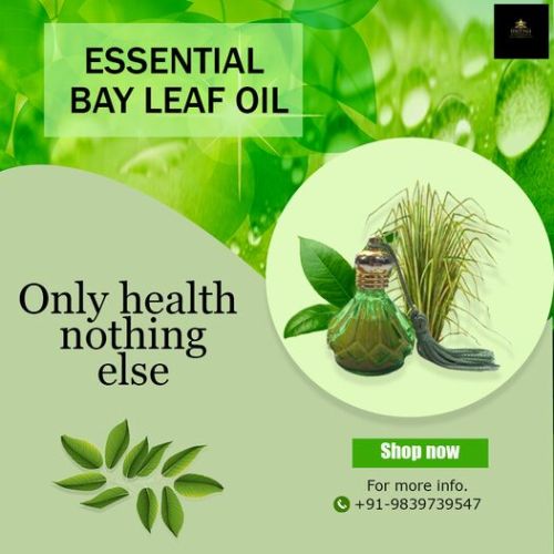 Natural Bay Leaf Essential Oil, Certification : FSSAI Certified, ISO-9001: 2008