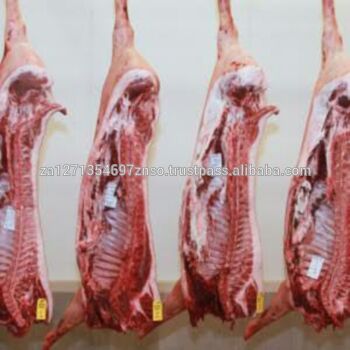 Frozen Boneless Buffalo Meat