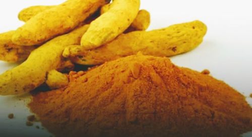 Turmeric Finger, Form : Powder