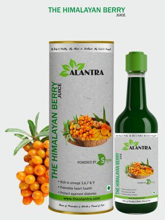 Alantra Himalayan Berry Juice, Packaging Size : 500 Ml