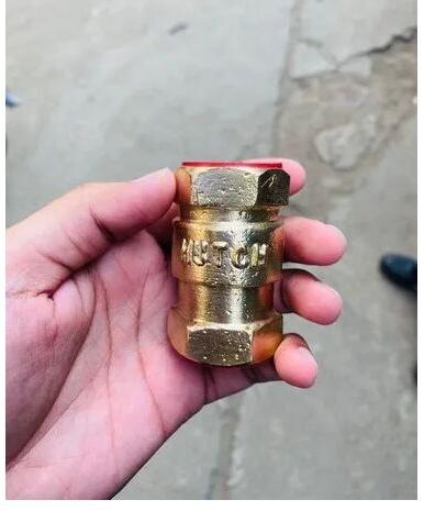 Hutch Brass/Bronze Vertical Check Valve