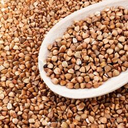 Buckwheat Seeds