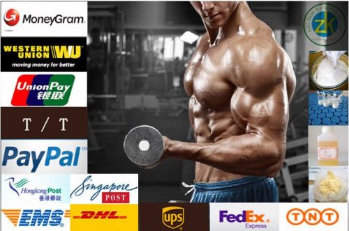 Bodybuilding Tamoxifen Citrate