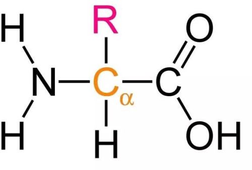 Amino Acids, Purity : 99%
