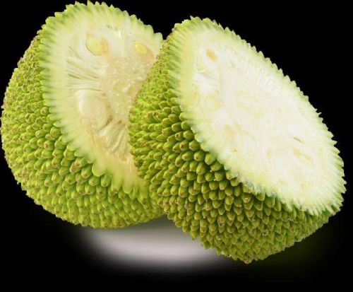 Organic Fresh Jackfruit