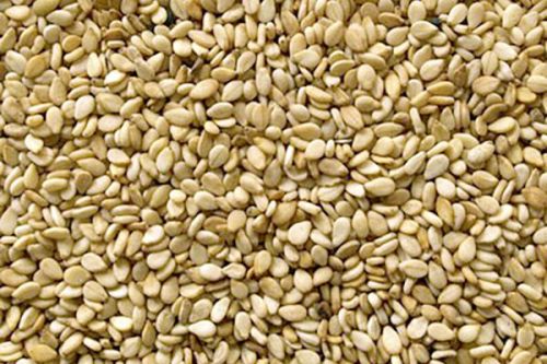 GBIT Common sesame seeds 6%, 8%, Packaging Type : 50kg