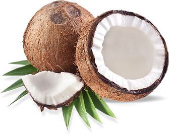 Organic Fresh Coconut