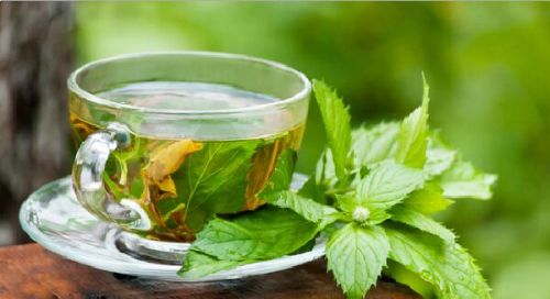 Peppermint Oil, For Fever