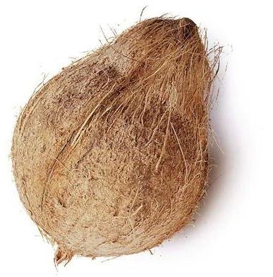 Brown Organic High Quality Husked Coconut, For Pooja, Cooking, Form : Solid