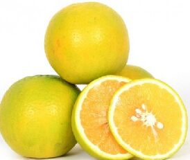 Fresh Sweet Lemon